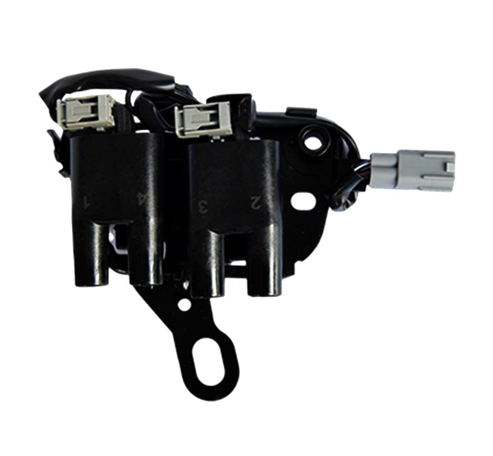 DQ-6159 Multi-point Ignition coils